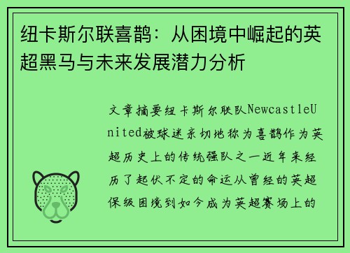 纽卡斯尔联喜鹊：从困境中崛起的英超黑马与未来发展潜力分析