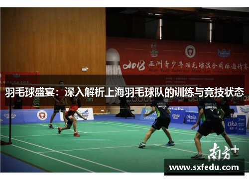 羽毛球盛宴：深入解析上海羽毛球队的训练与竞技状态