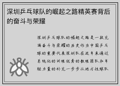 深圳乒乓球队的崛起之路精英赛背后的奋斗与荣耀