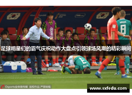 足球明星们的霸气庆祝动作大盘点引领球场风潮的精彩瞬间