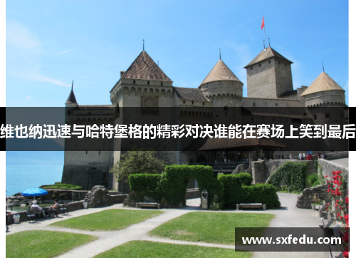 维也纳迅速与哈特堡格的精彩对决谁能在赛场上笑到最后